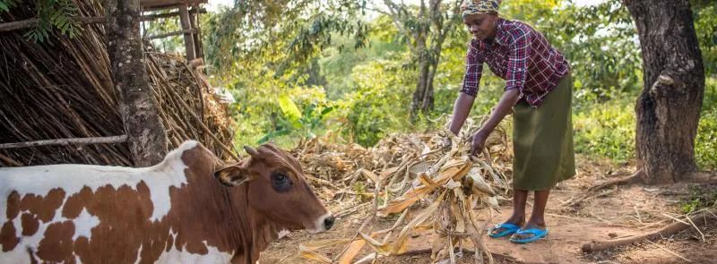 比尔盖茨谈人工智能它将加速创新,比尔盖茨对企业创新的态度