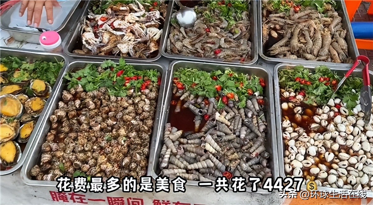 裸辞特斯拉去旅行,开特斯拉旅游的情侣