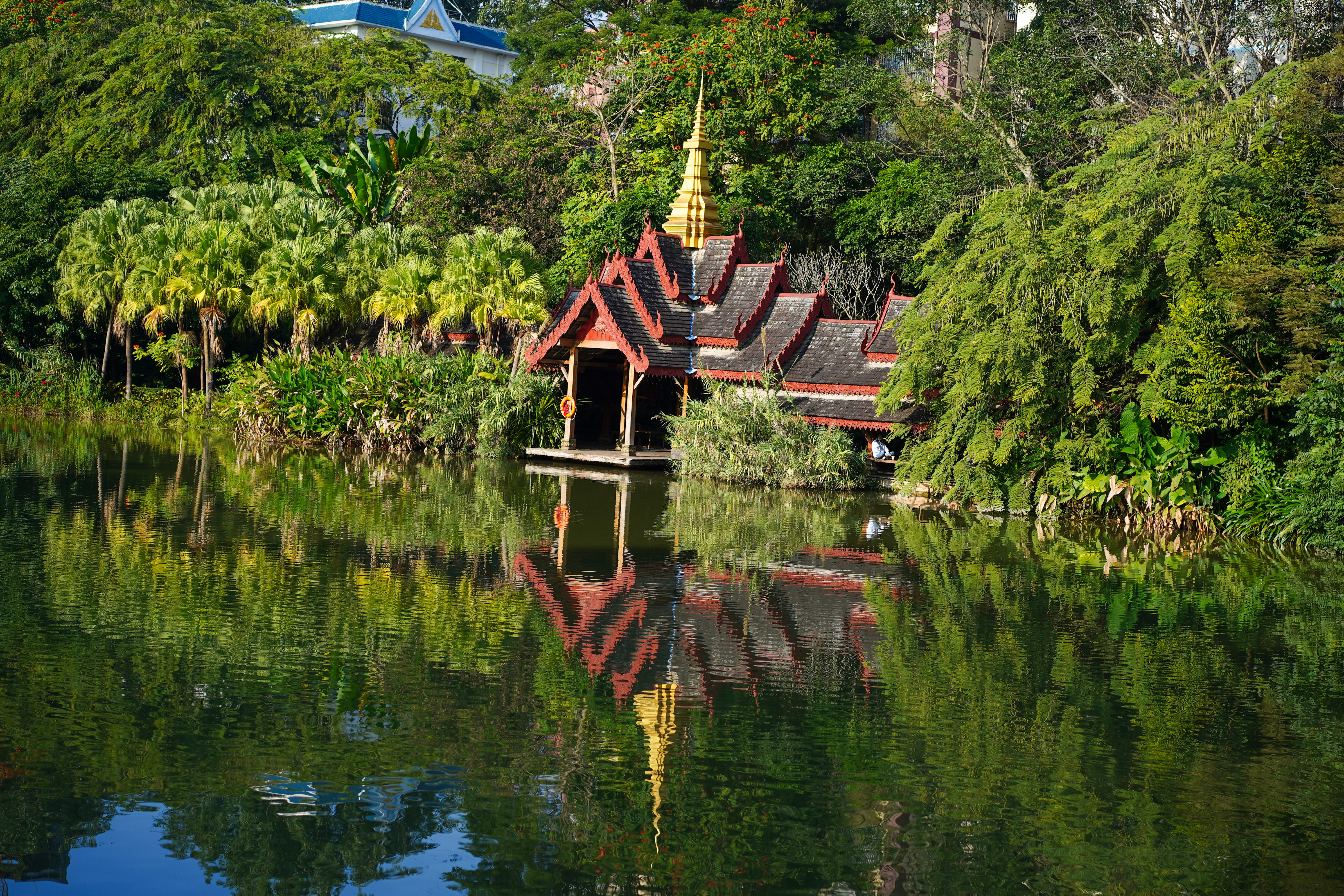 冬天西双版纳适合旅游吗,西双版纳最宜居