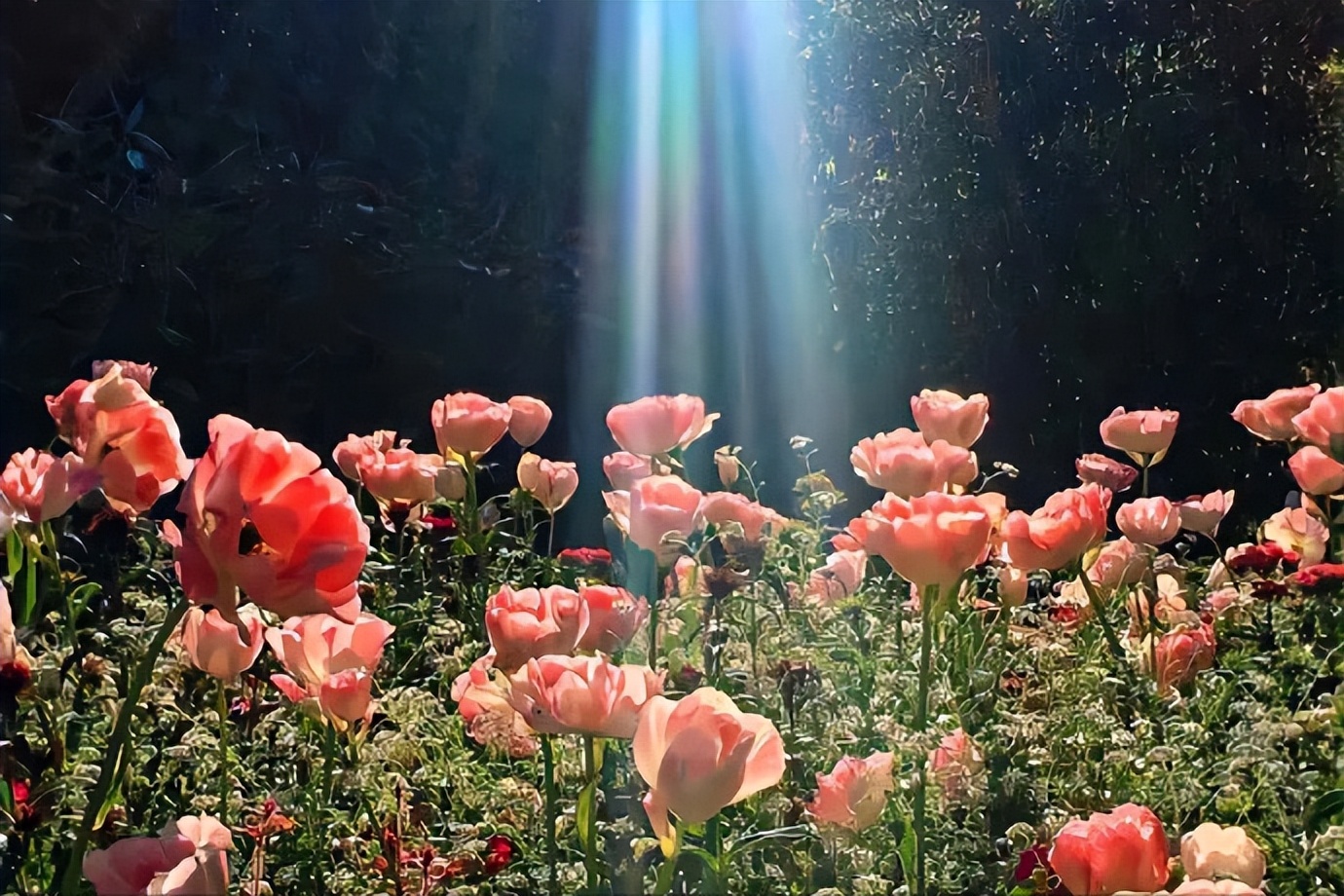 对于感情及时止损真的很重要,遇到不好的感情都要及时止损