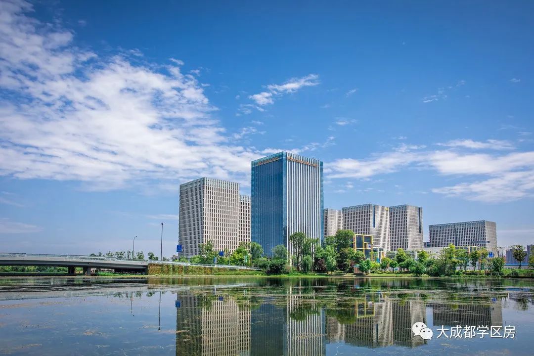 高新区新川板块学校划分,高新区新川板块学校哪个好