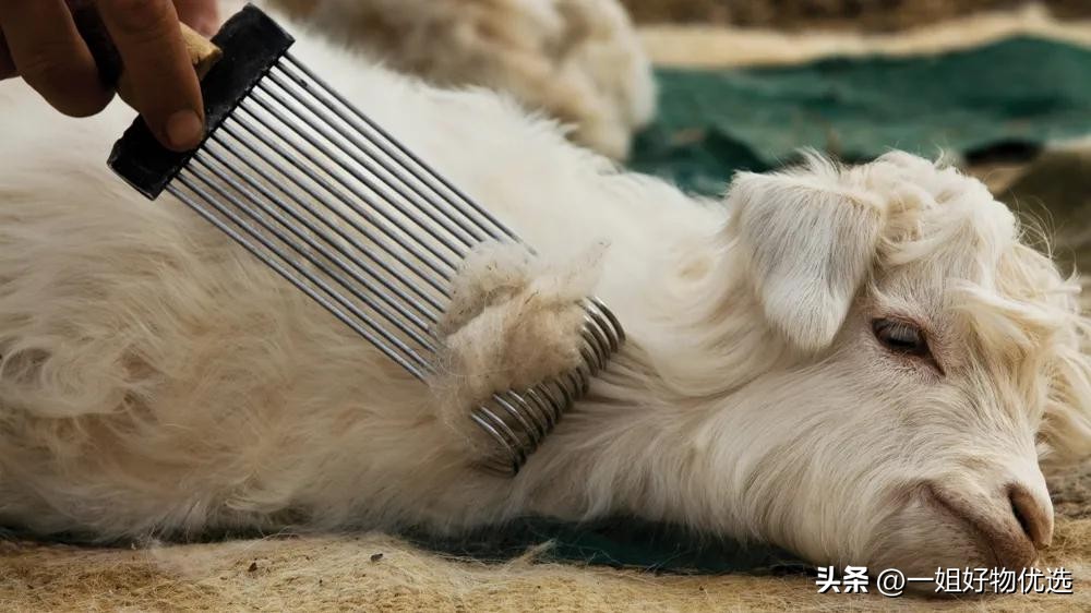 临平围巾批发市场在哪里,丽水仿羊绒围巾批发