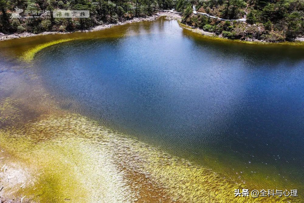 四川大凉山温泉瀑布视频,四川大凉山螺髻山温泉瀑布