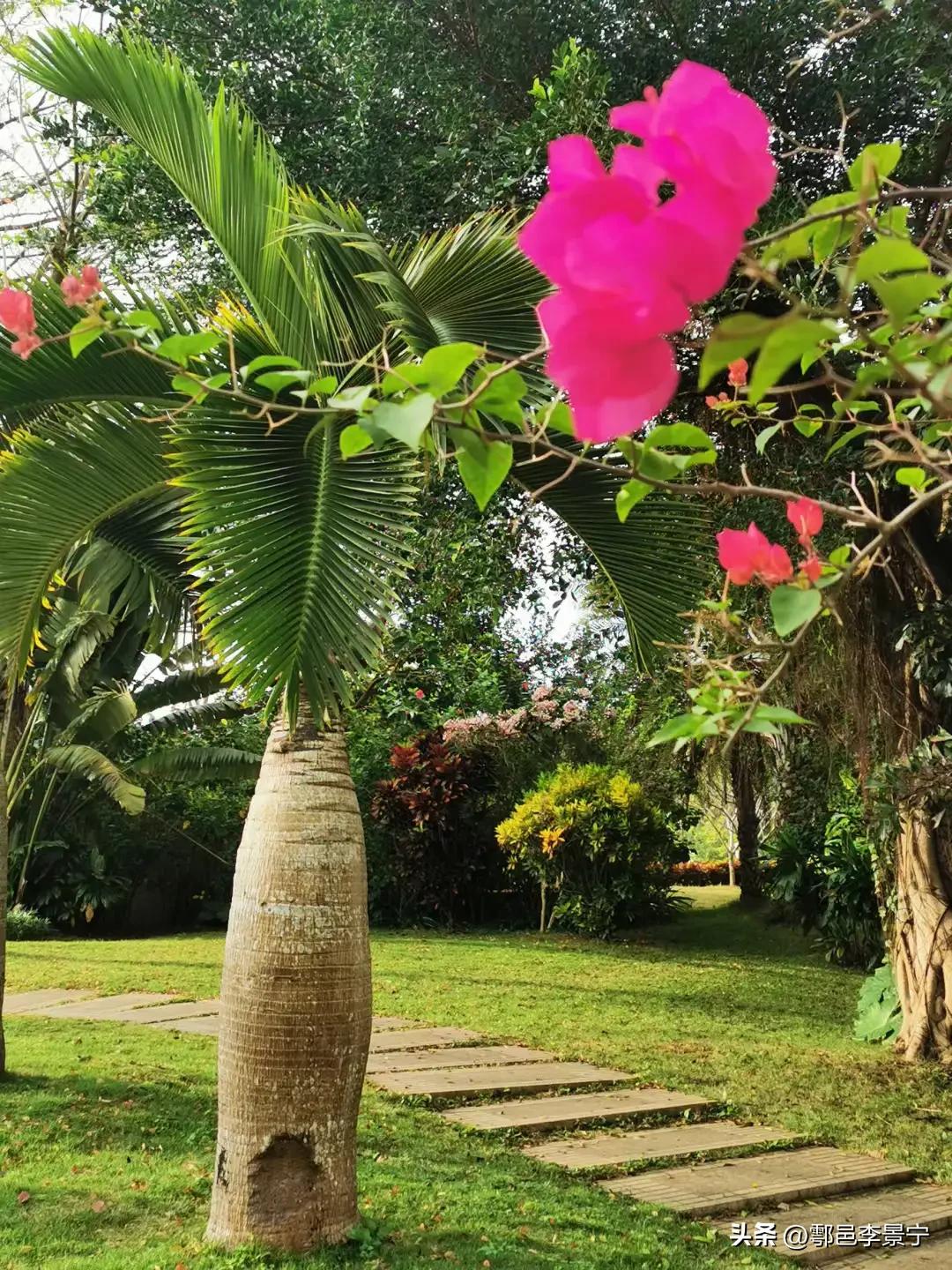 题大明宫巡园人摄影作品《春天来了》楹联文/李景宁