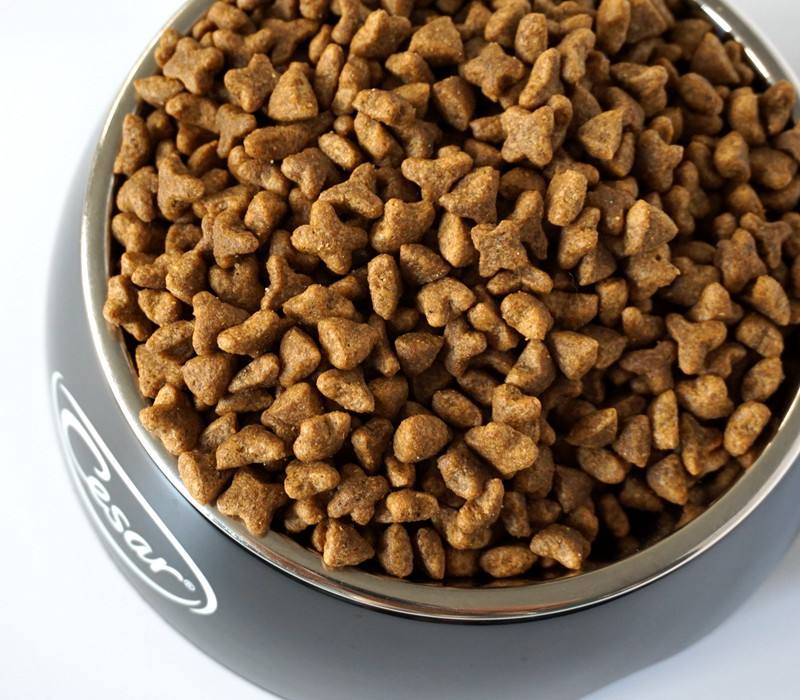 10大经典狗粮宠物狗粮品牌排行榜,狗粮怎么选8大优质狗粮推荐