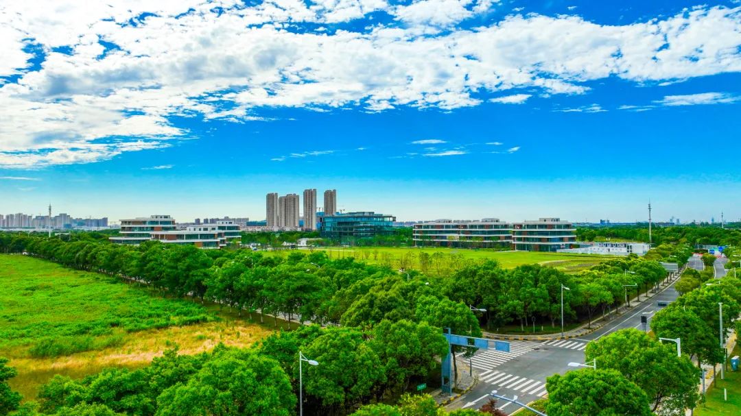今年夏天最热地区,今年夏天最热排行榜