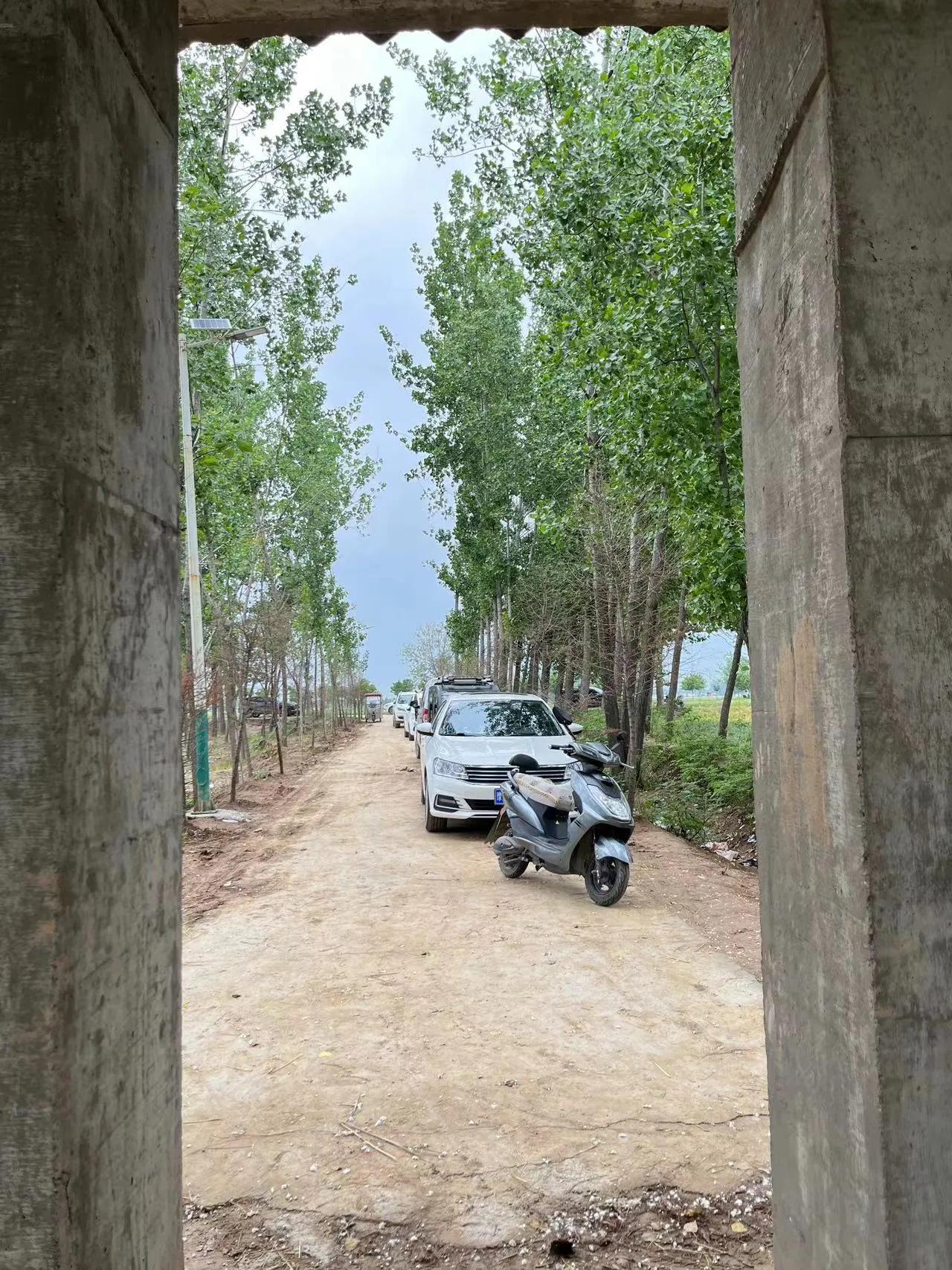 别问什么价,就是喜欢她