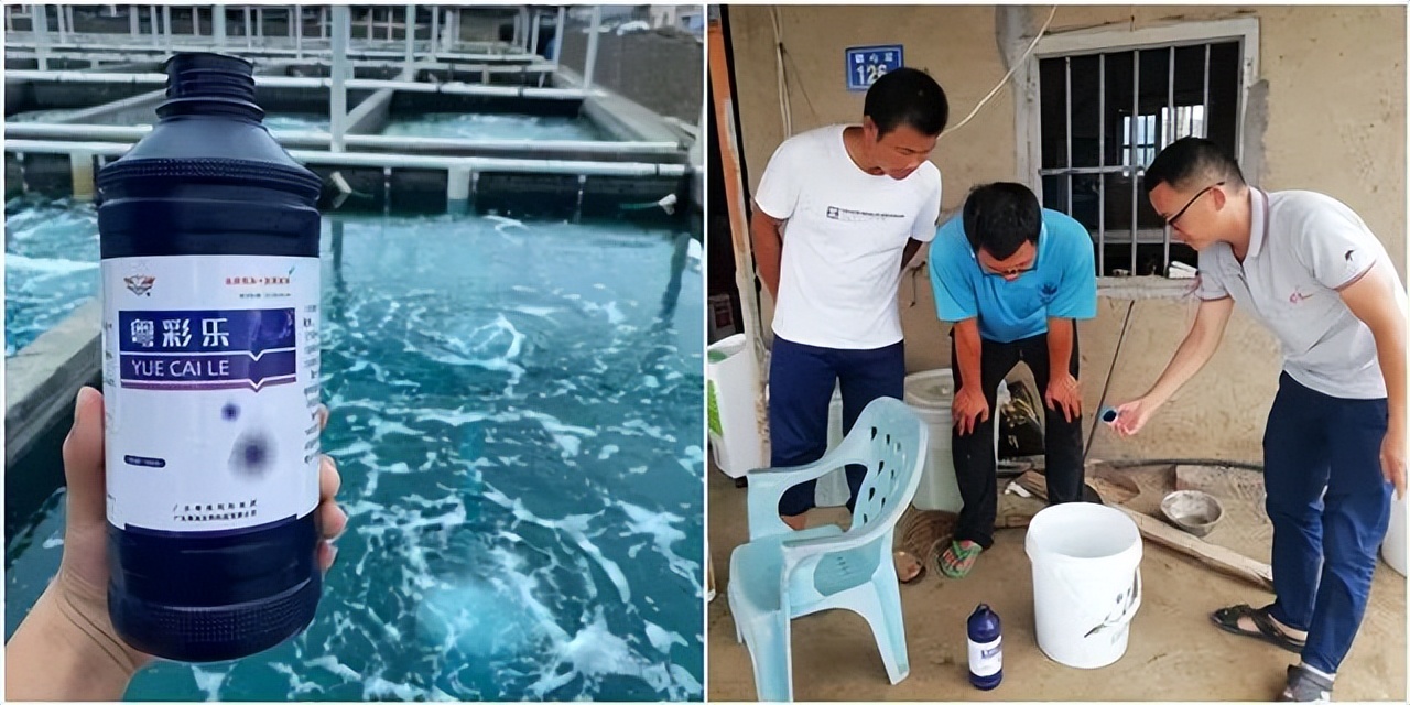 红水、绿水、浓水？高温期稳水就用粤彩乐