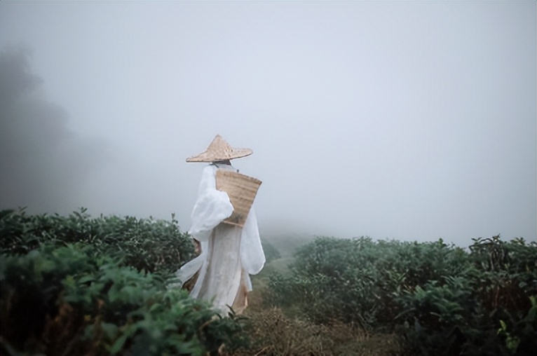 宝宝起名字有诗意有涵养龙凤胎,宝宝起名率真可爱的宝宝名字推荐