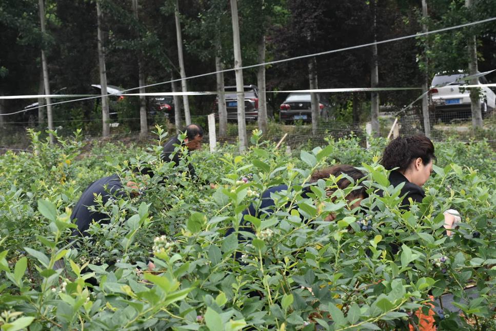 超甜预警！夏日采摘季！快来汉中实现水果自由~