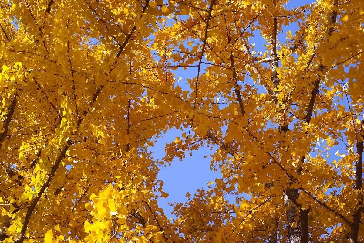 高考高频考点词汇,come短语归纳高考