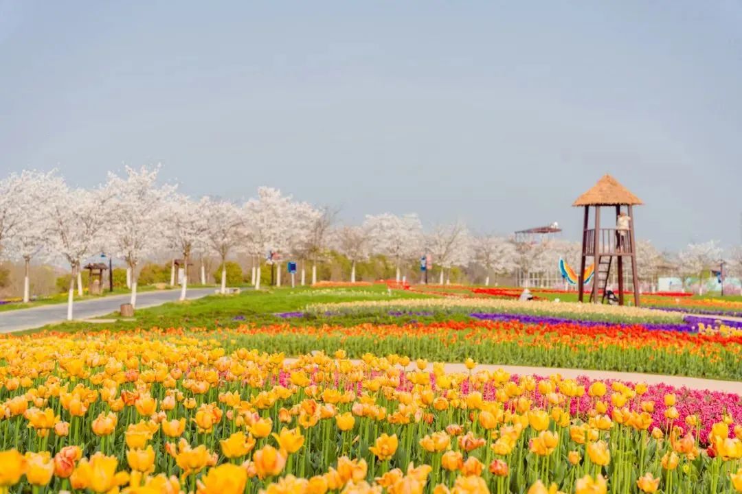 免票最新信息,半价免票规则