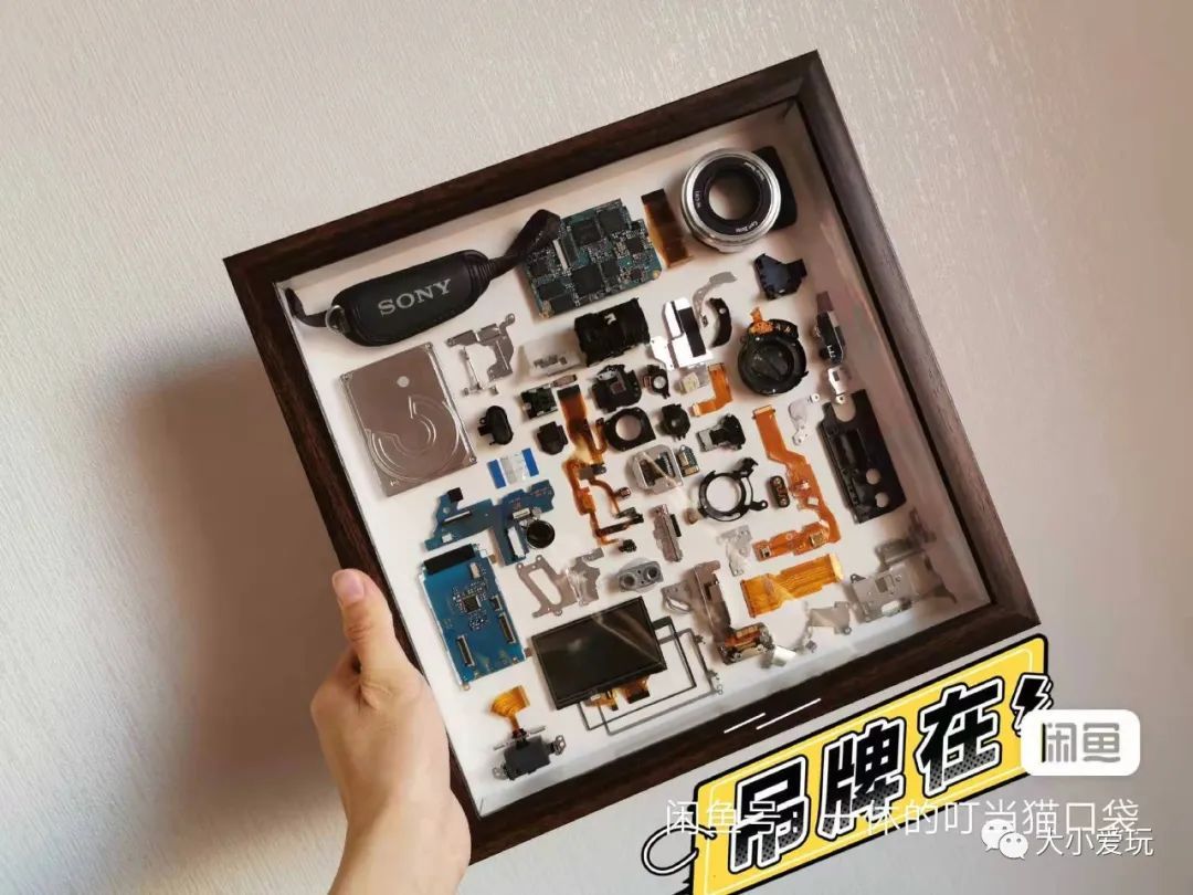 看了这些听都没听过的新兴职业,老母亲不淡定了