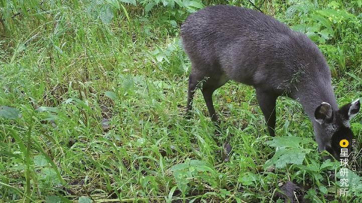 成都平原彭州,彭州立体公园城市