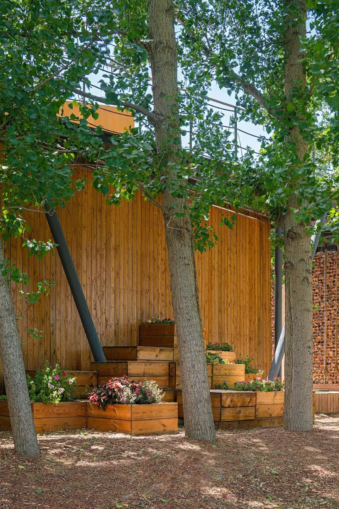 乡村振兴谋划不全不细典型案例,国内外乡村振兴典型代表及案例