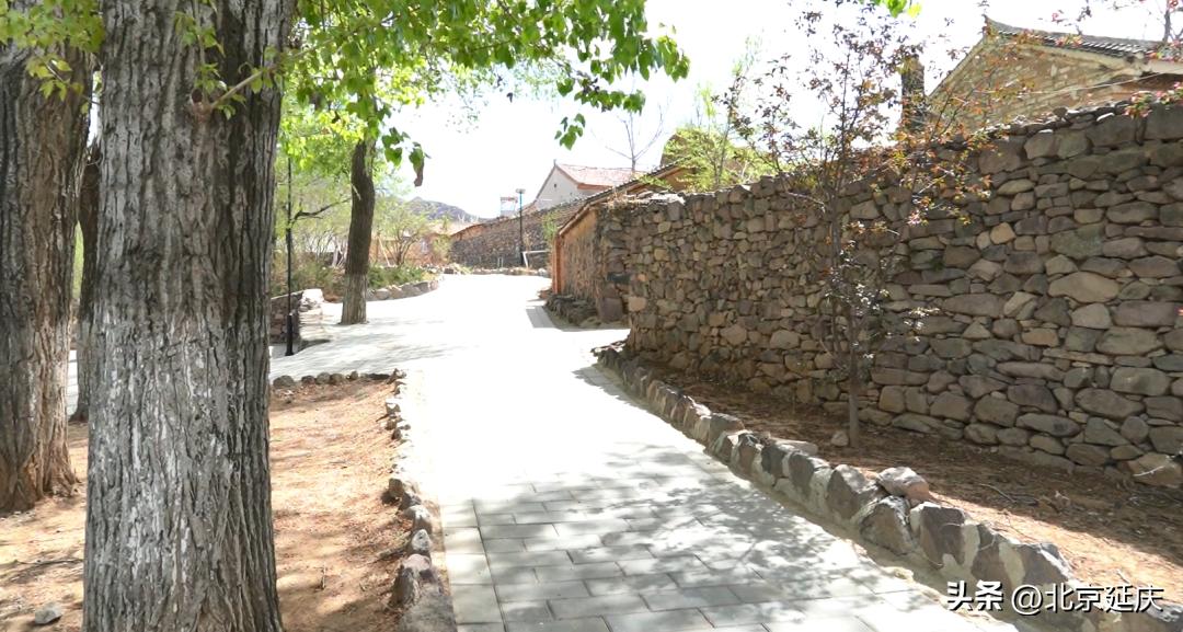 延庆区美丽新农村,延庆区新农村建设