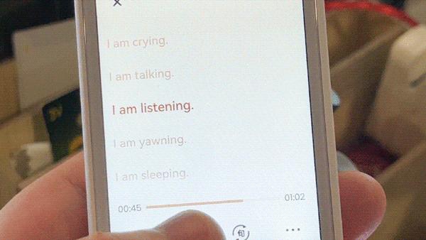 649元请个英语私教！网易有道听力宝评测：先评级再学习更有效