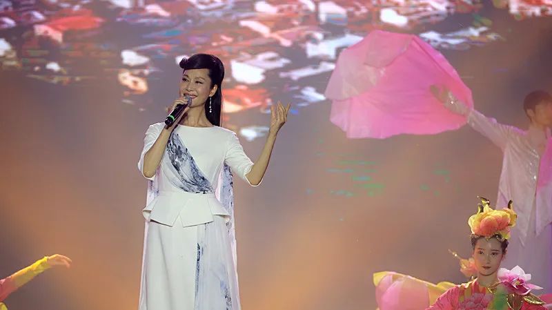 周口淮阳区荷花节在哪里举办了,周口淮阳荷花节开幕式节目单