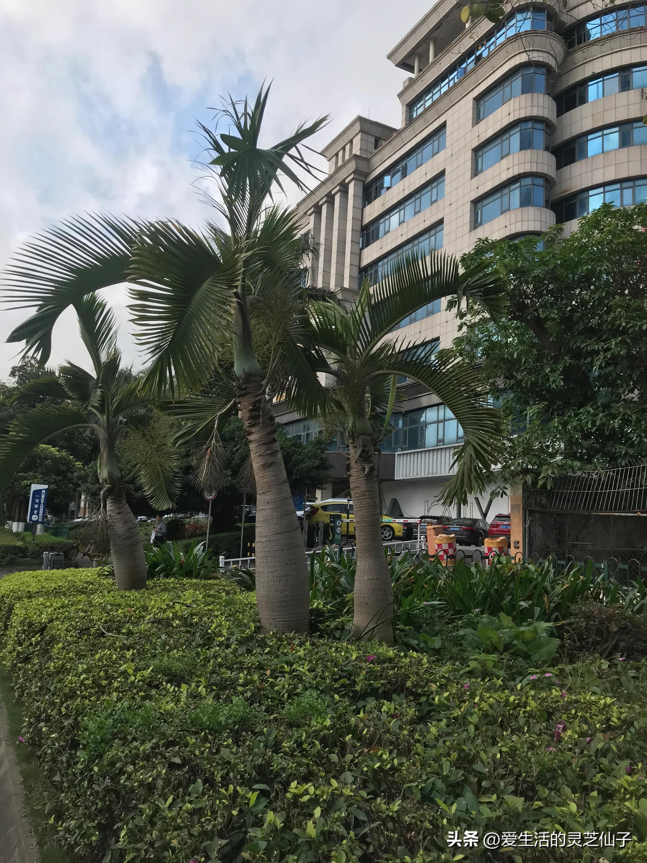 一个内陆人眼中的海南及海南人