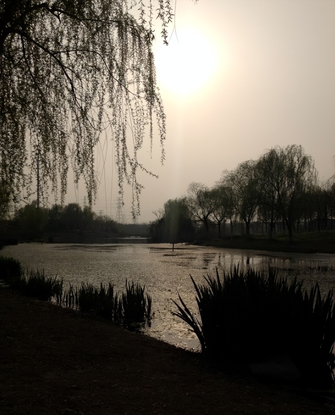 上海第一大人工湖在哪里,上海最值得打卡的公园