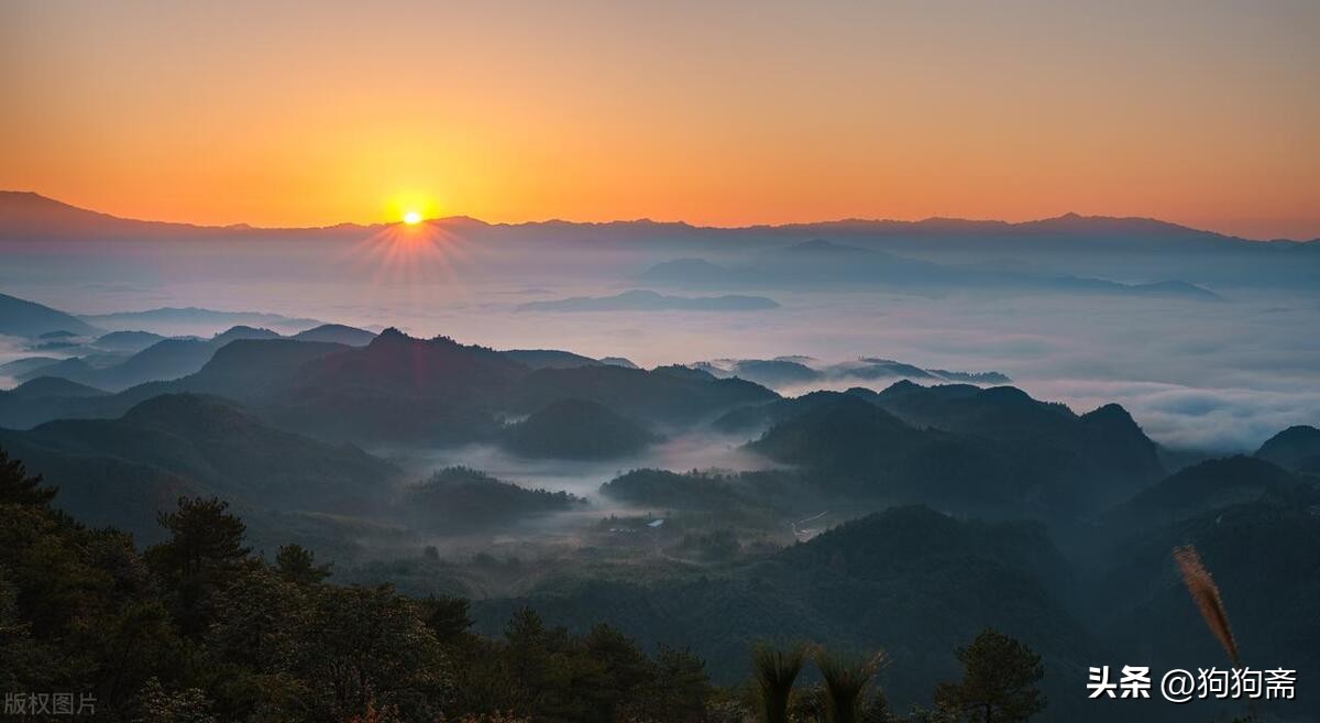 驴事,驴事民间故事