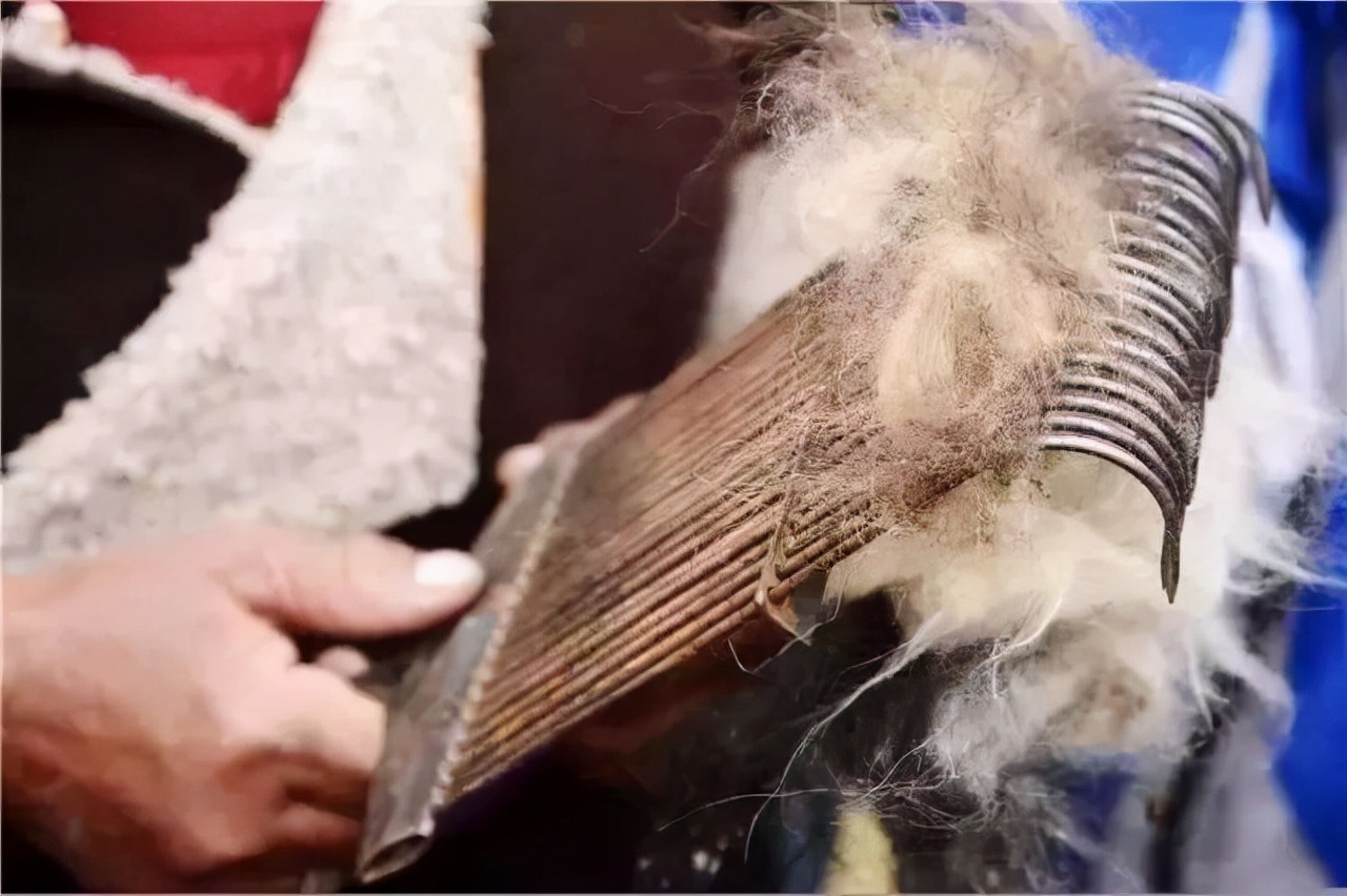 台湾女富二代,台湾富二代女孩