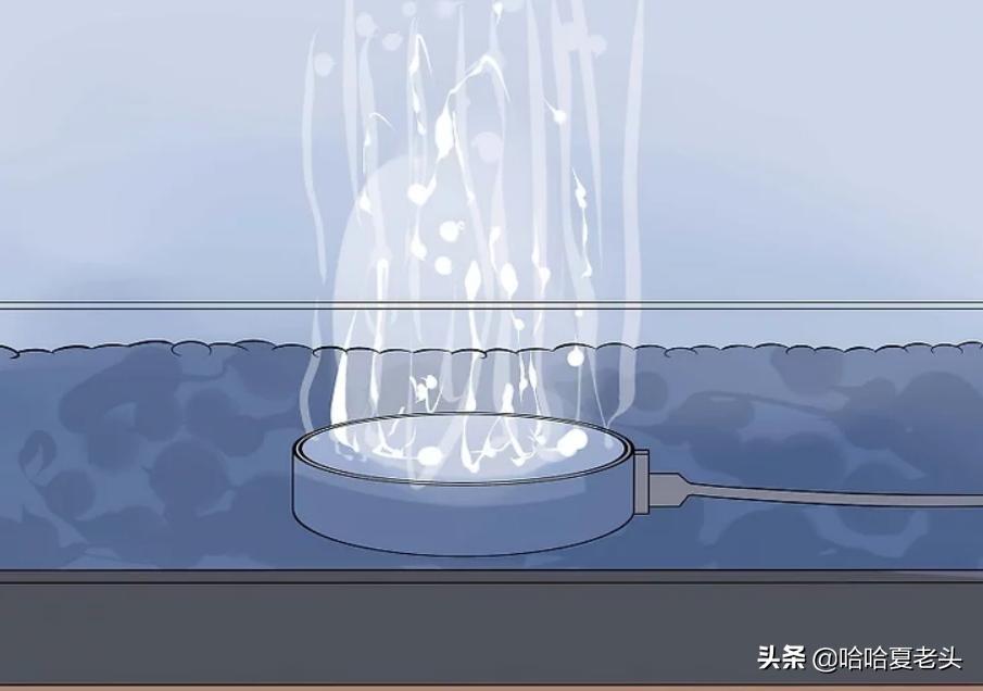 怎样拯救要死的斗鱼,怎么抢救奄奄一息的斗鱼