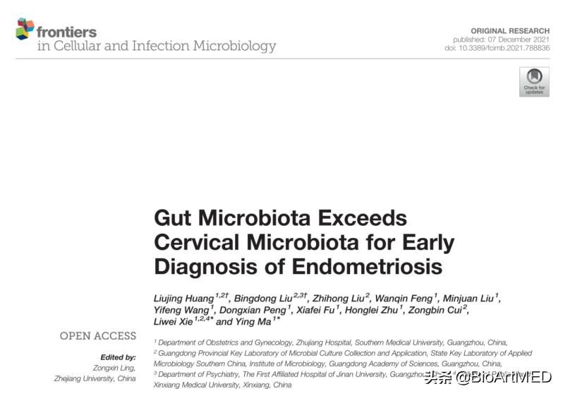 菌群异常会导致子宫内膜异位症吗,肠型子宫内膜异位症