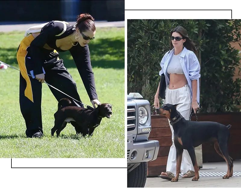 想走维密吗？买个杯子!