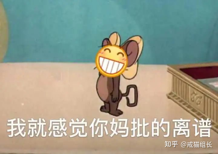 口碑最好的十大猫主食罐,最好的主食猫罐测评