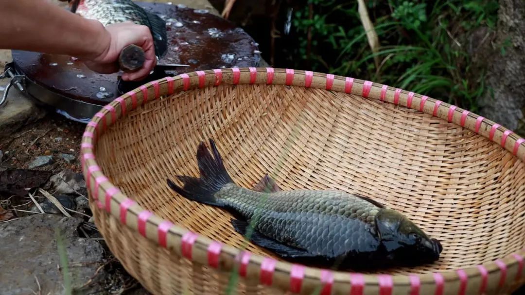 江西有哪些梯田风景区,江西梯田排名前十的梯田