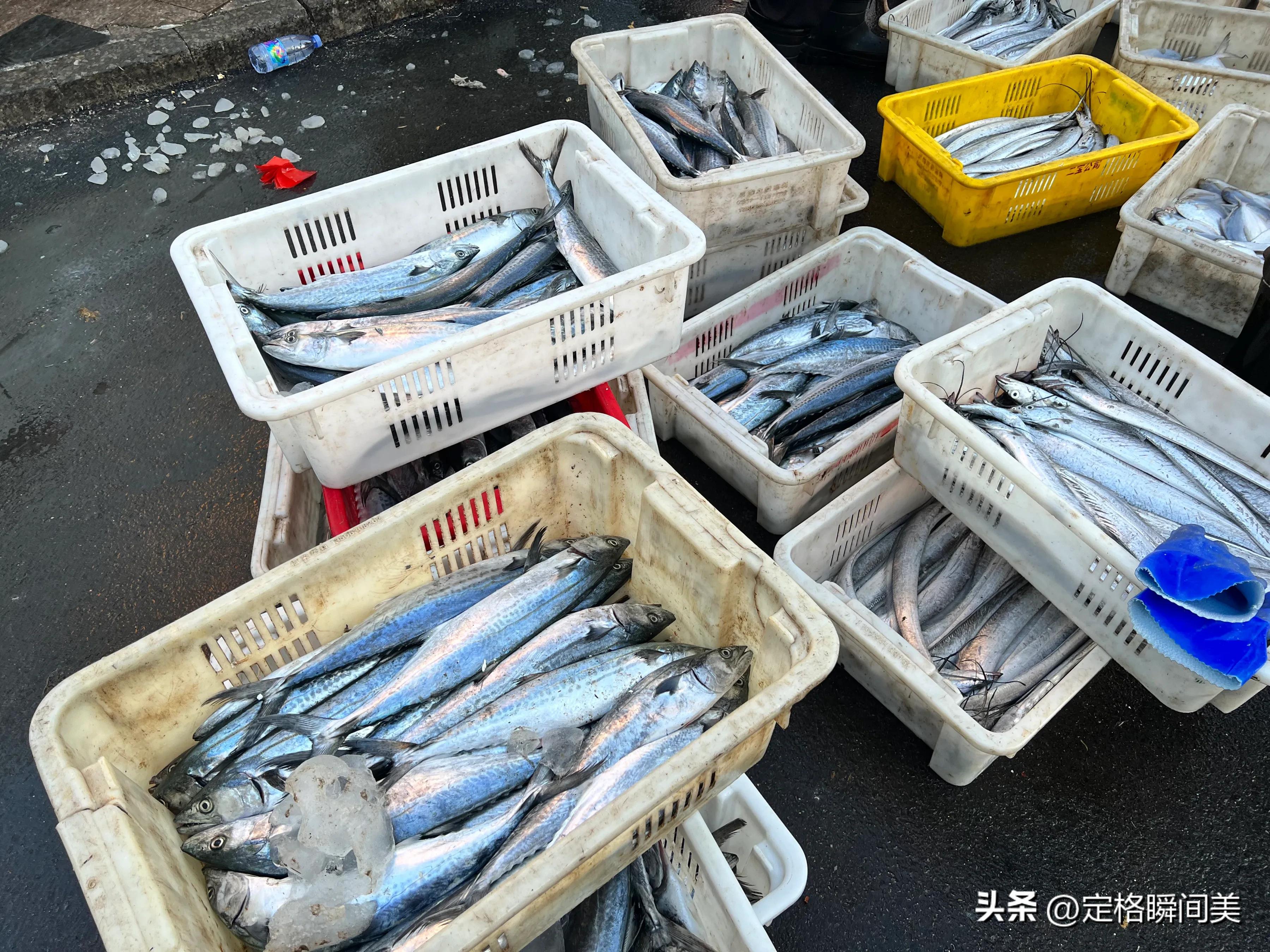 冬天青岛小海鲜,青岛冬季的海鲜特产