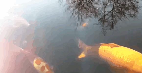 摄影师收入过万有多难,摄影师月入过万的多吗