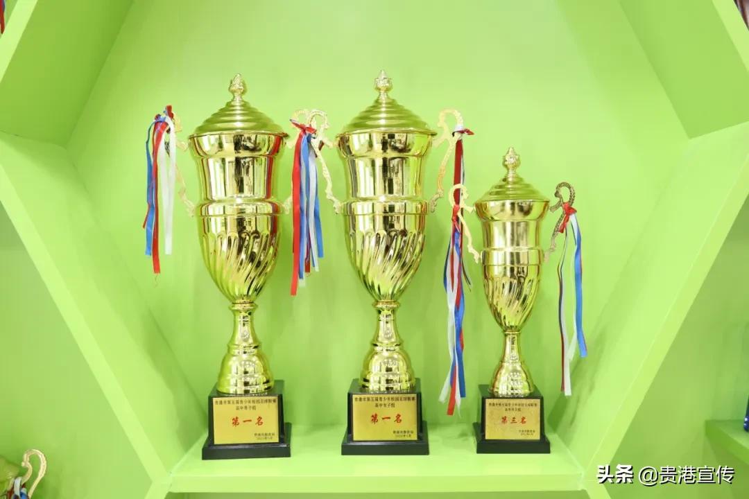 广西贵港体育中学,贵港新增示范性学校名单