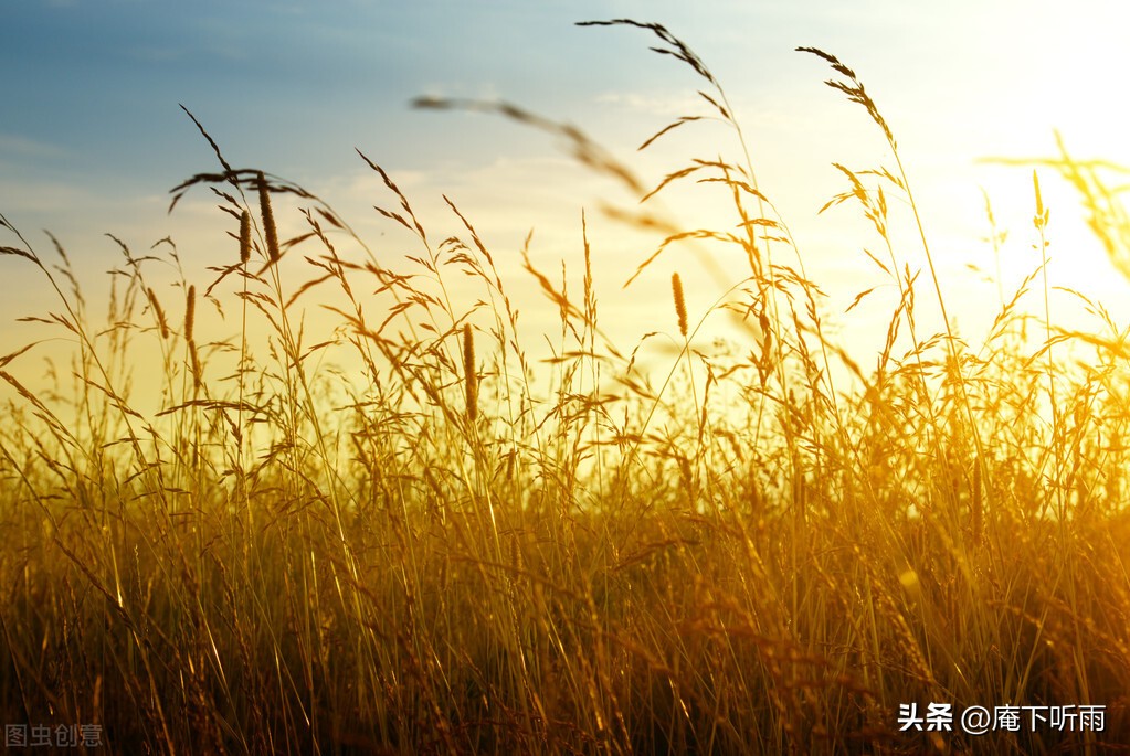 陶渊明著名十首短诗词,陶渊明躬耕生活的诗歌和文章