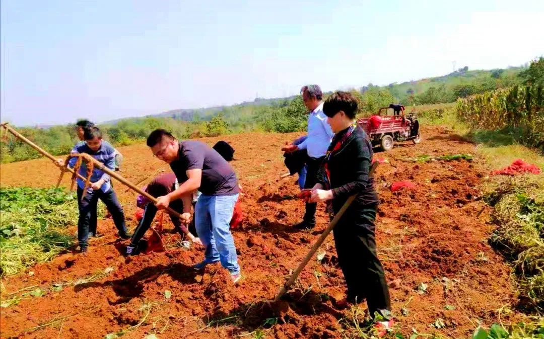 农业主题公园怎么打造,世界最成功的农业主题公园