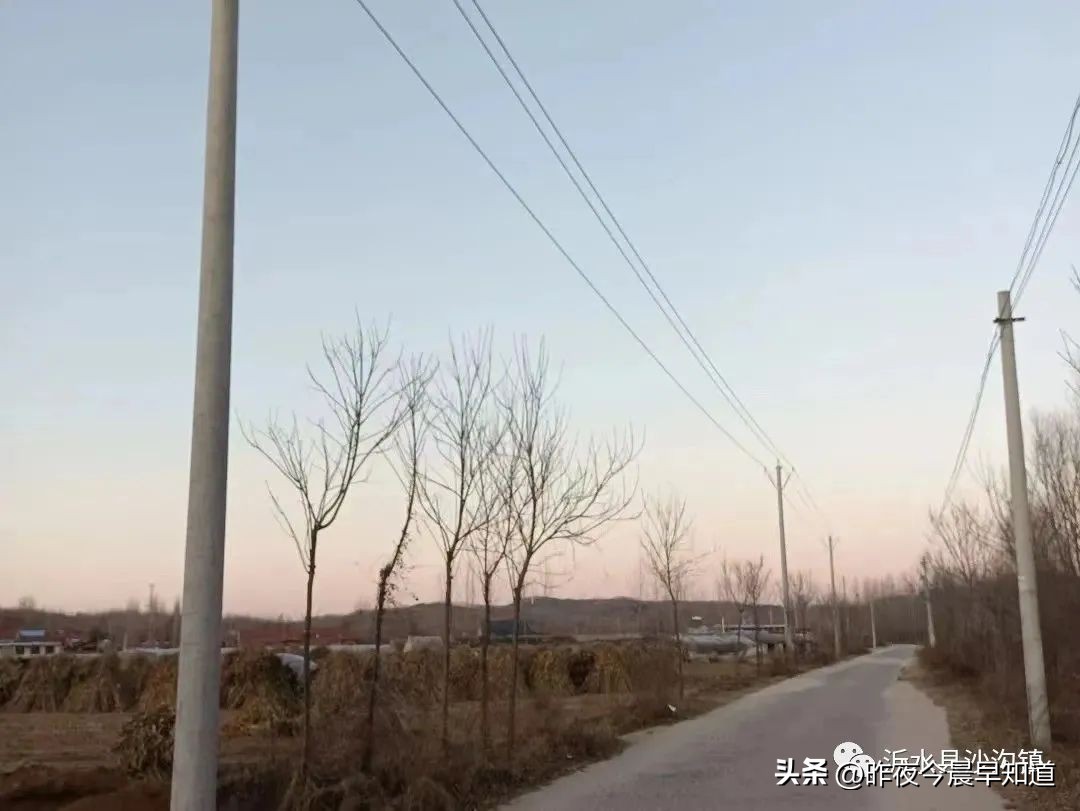 沙沟镇*钟金**峪村*党**支部书记陆云娟：为乡村振兴赋能增值