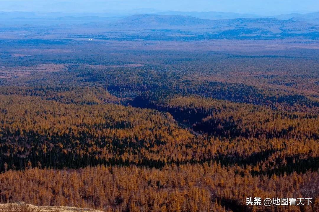 走进长白山原始森林,长白山森林基地