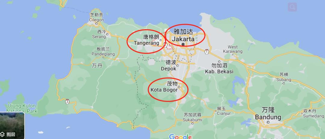 小杨哥在东南亚,小杨哥和老罗连麦