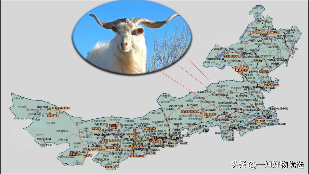 十大奢侈品围巾排名,十大奢侈品服饰排名