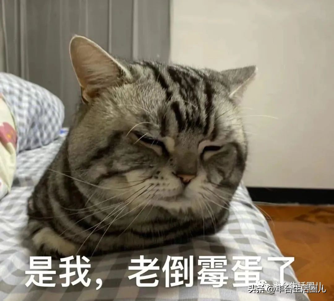 北京丰台和义南苑北里一区房价,最近好多地方房价上涨