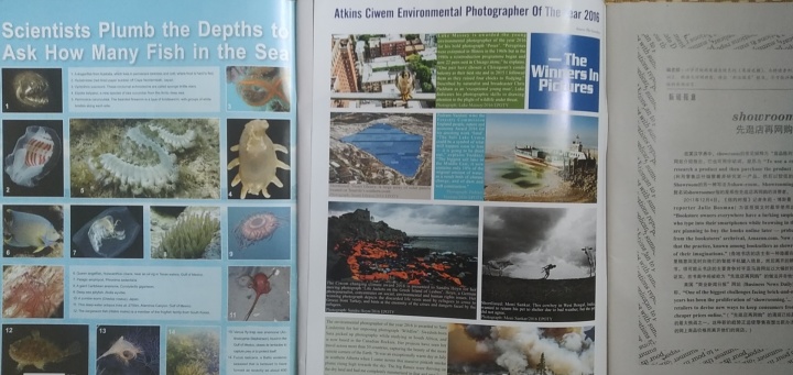 英语文摘在哪可以订阅,英语文摘杂志有音频吗