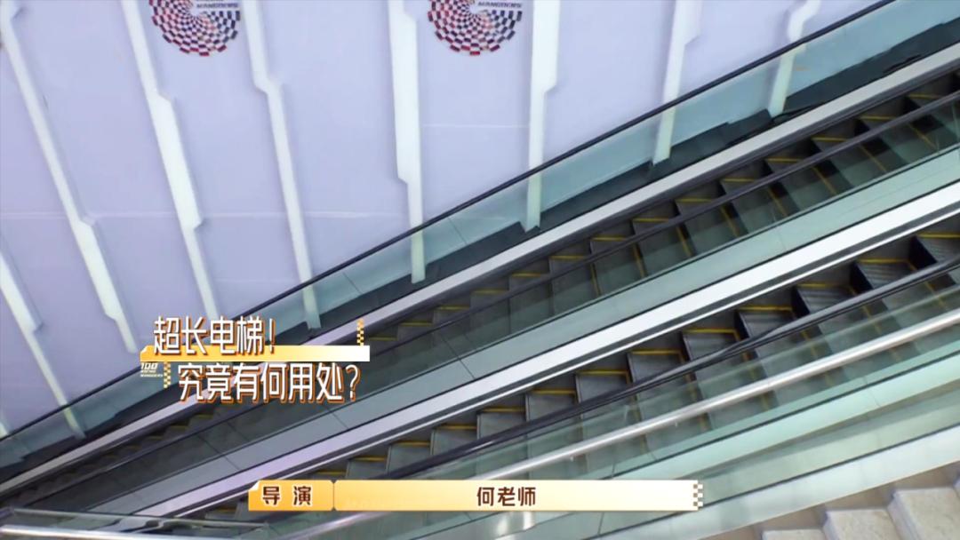 何炅现场科普职场黑话,何炅面对职场