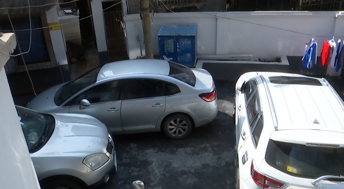 母驴与邻居家公驴配种，之后却意外死亡，农户气不过将其告上法庭