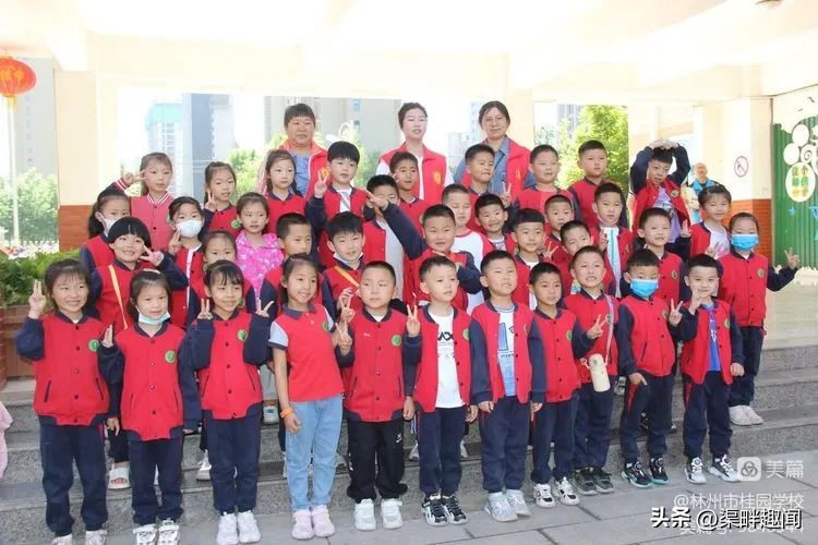 聚焦德育活动促学生全面发展,聚焦入学助力儿童成长公开课