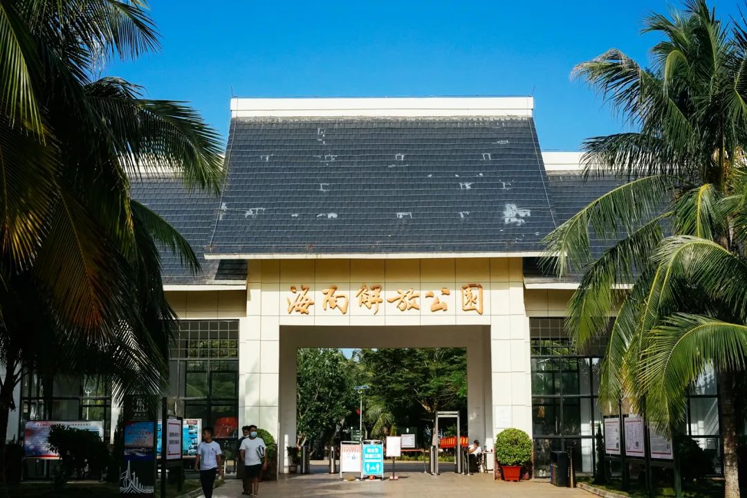 早餐烤乳猪，海鲜论盆卖？这座海岛小城舒坦得有点离谱了