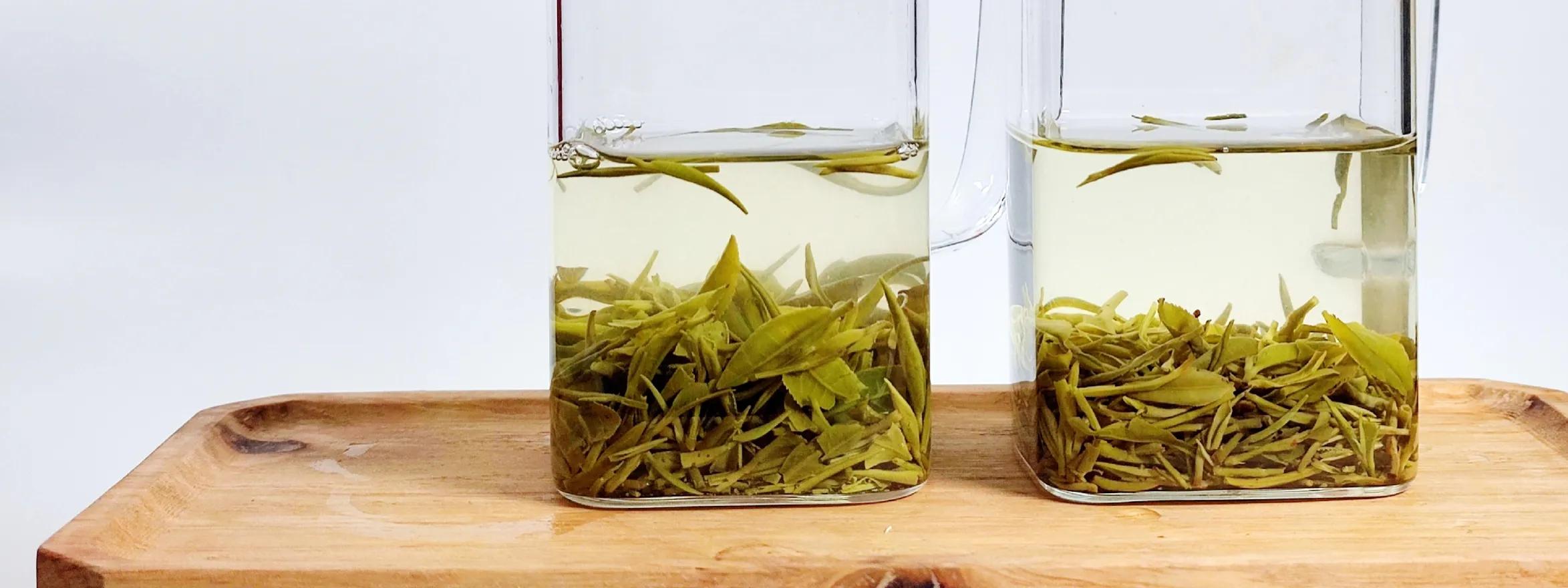 茶叶比赛信阳毛尖,信阳毛尖茶王争霸比赛