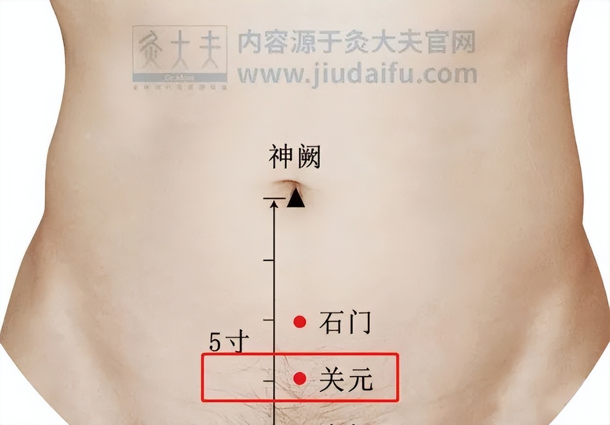 五毒月的九毒日禁忌,五毒月怎么排毒