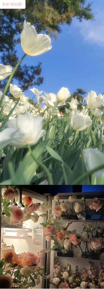 微信朋友圈怎样把照片拼接成长图,如何将几张图片拼接成长图