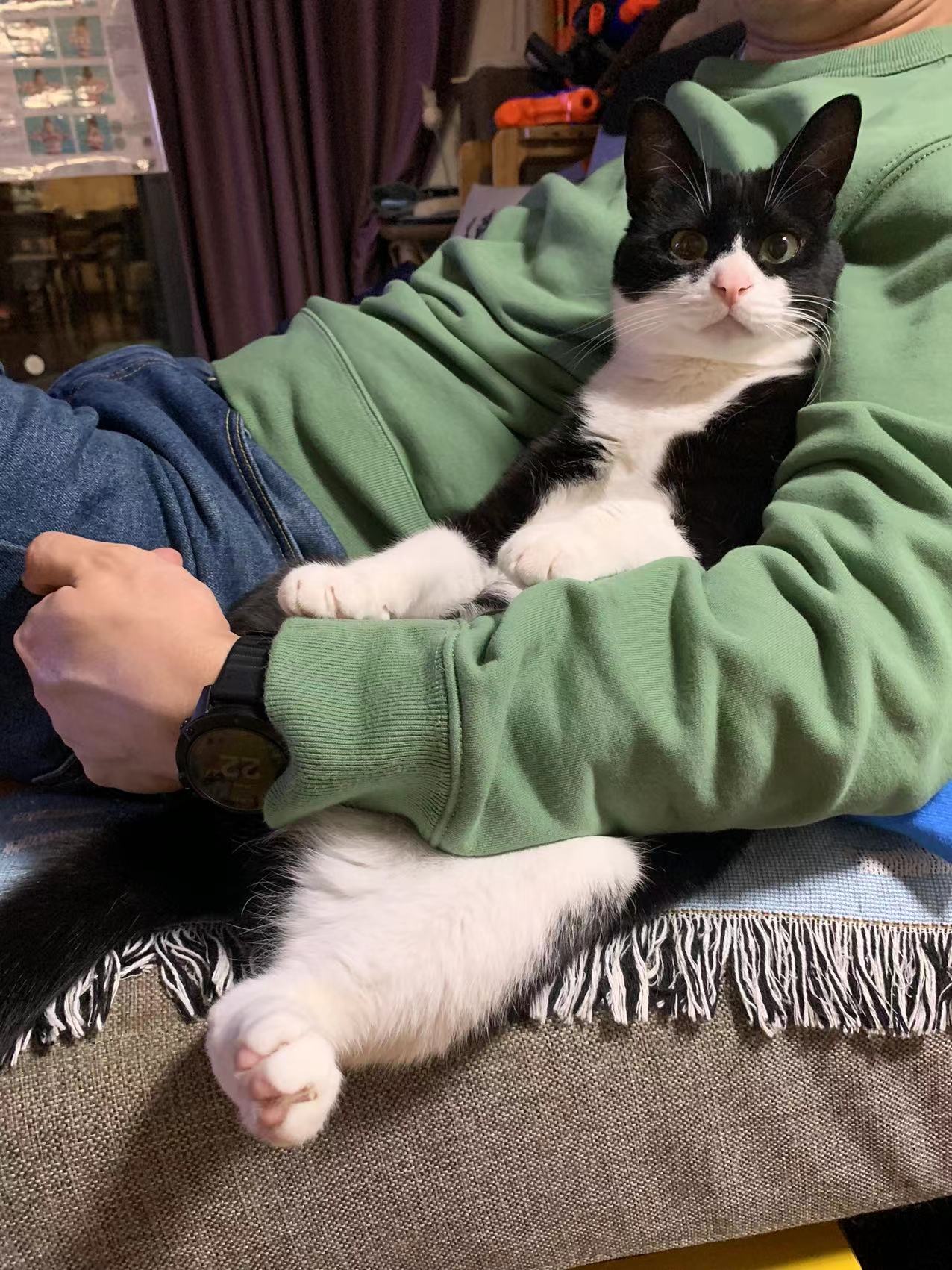 华米amazfitgtr3,华米gtr3pro和小米watchs1